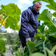 A gardener and local activist tending allotment